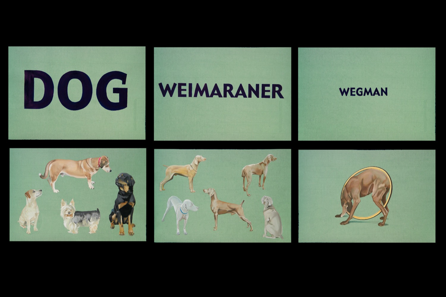 Wegman