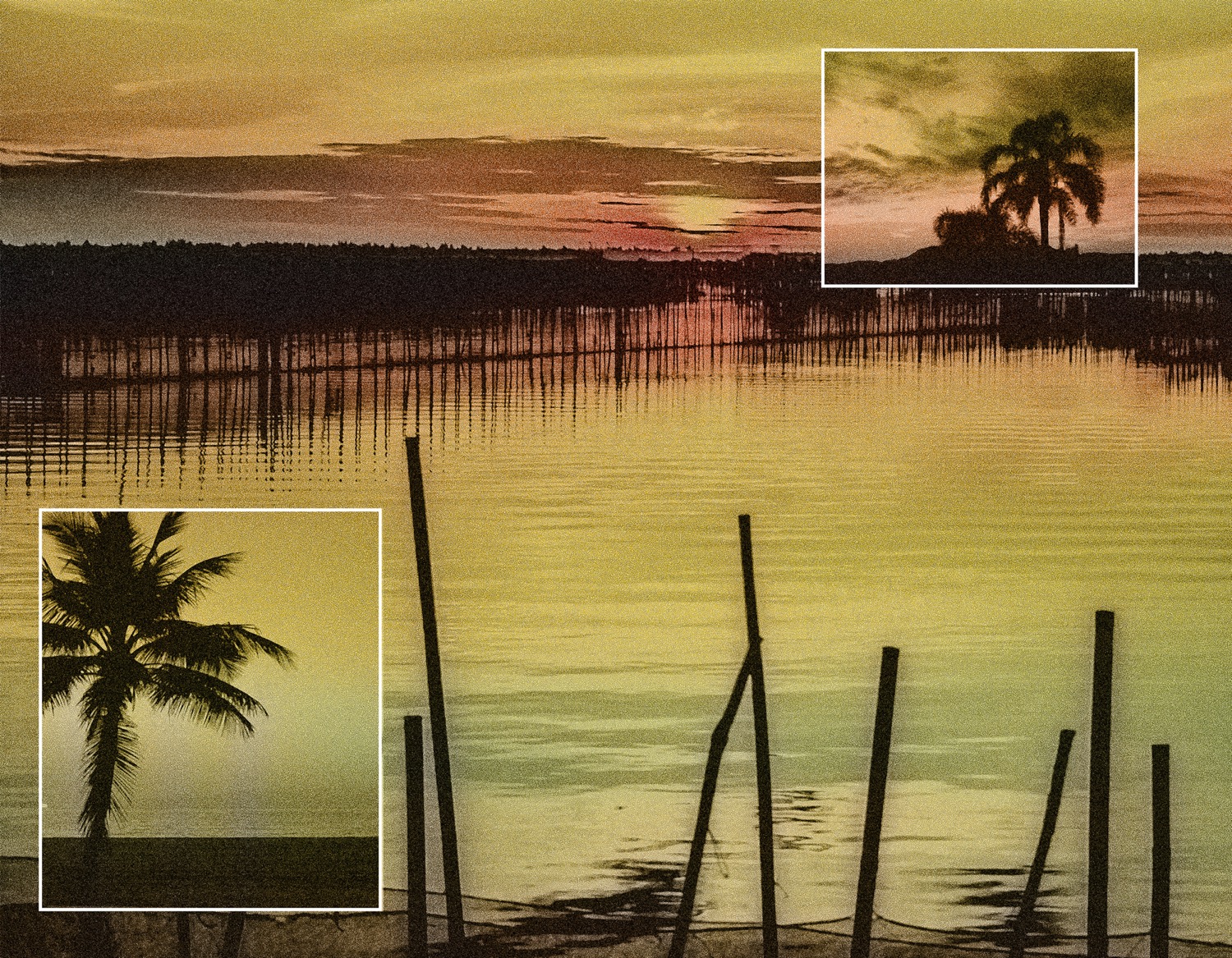 Tropical Sunrise